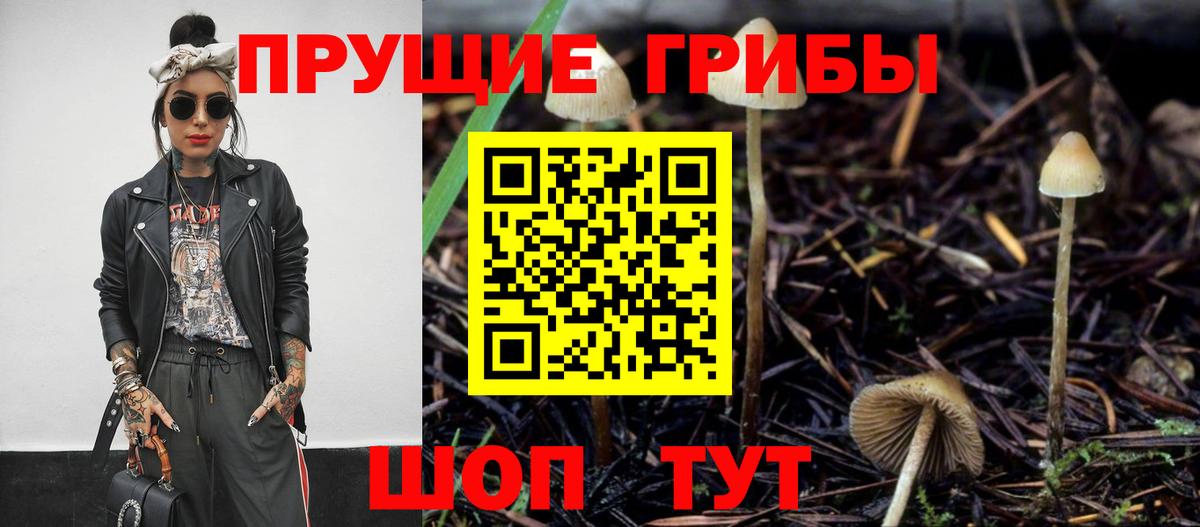 Псилоцибиновые грибы MAGIC MUSHROOMS  Вход с VPN  Галлюциногенные грибы GOLDEN TEACHER  Краснознаменск 